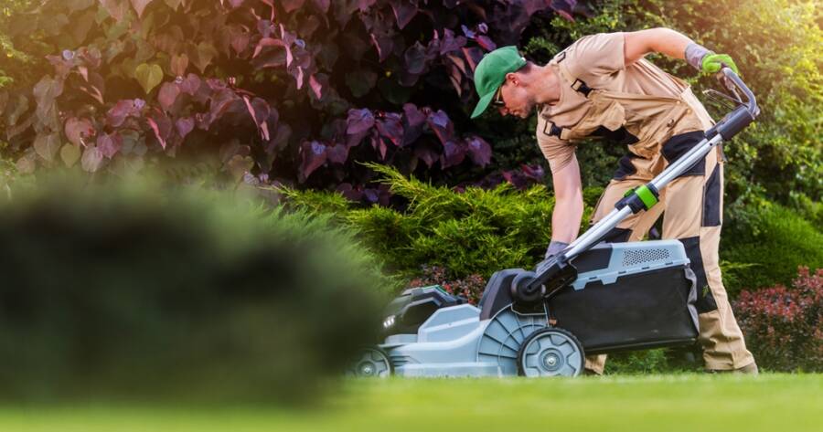 Lawn Care: Why You Should Hire a Pro